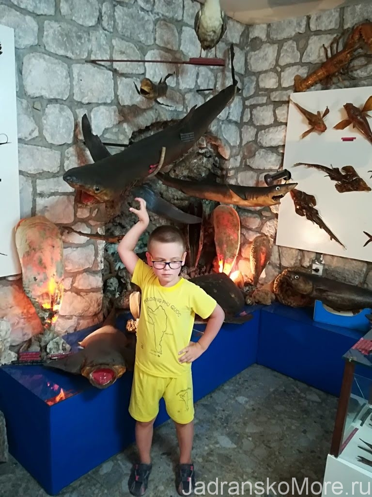 Морской музей в Макарске