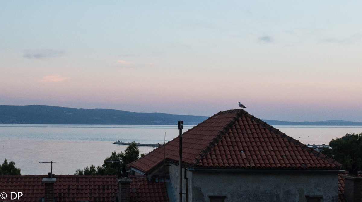 Omis 4