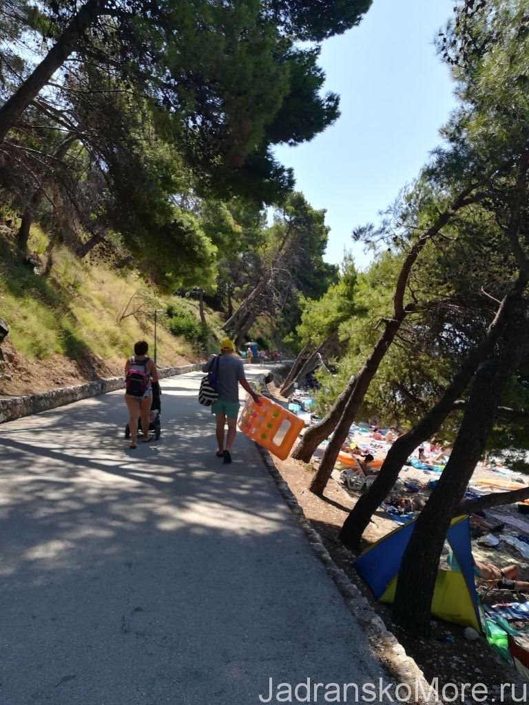 Пешеходная дорожка вдоль пляжа Plisivac 