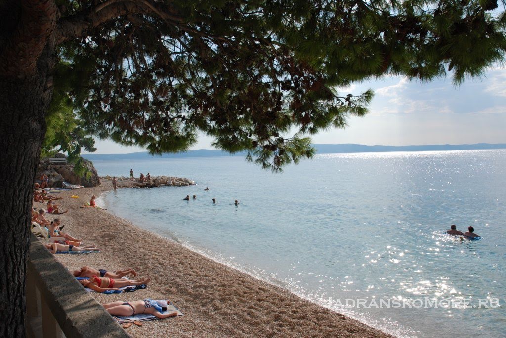 Podgora beach center