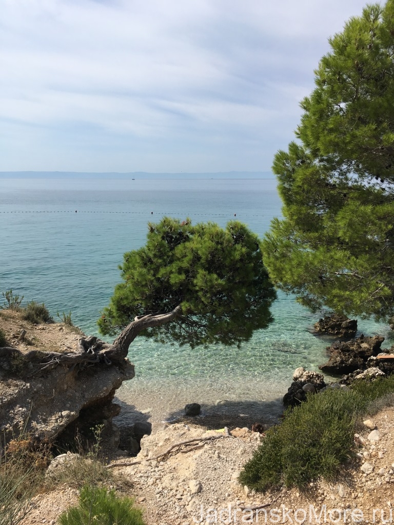 Sea