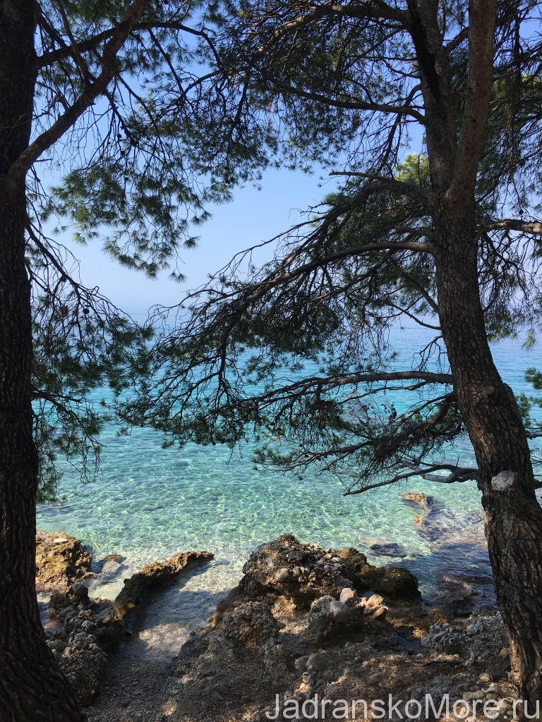 Sea attracts