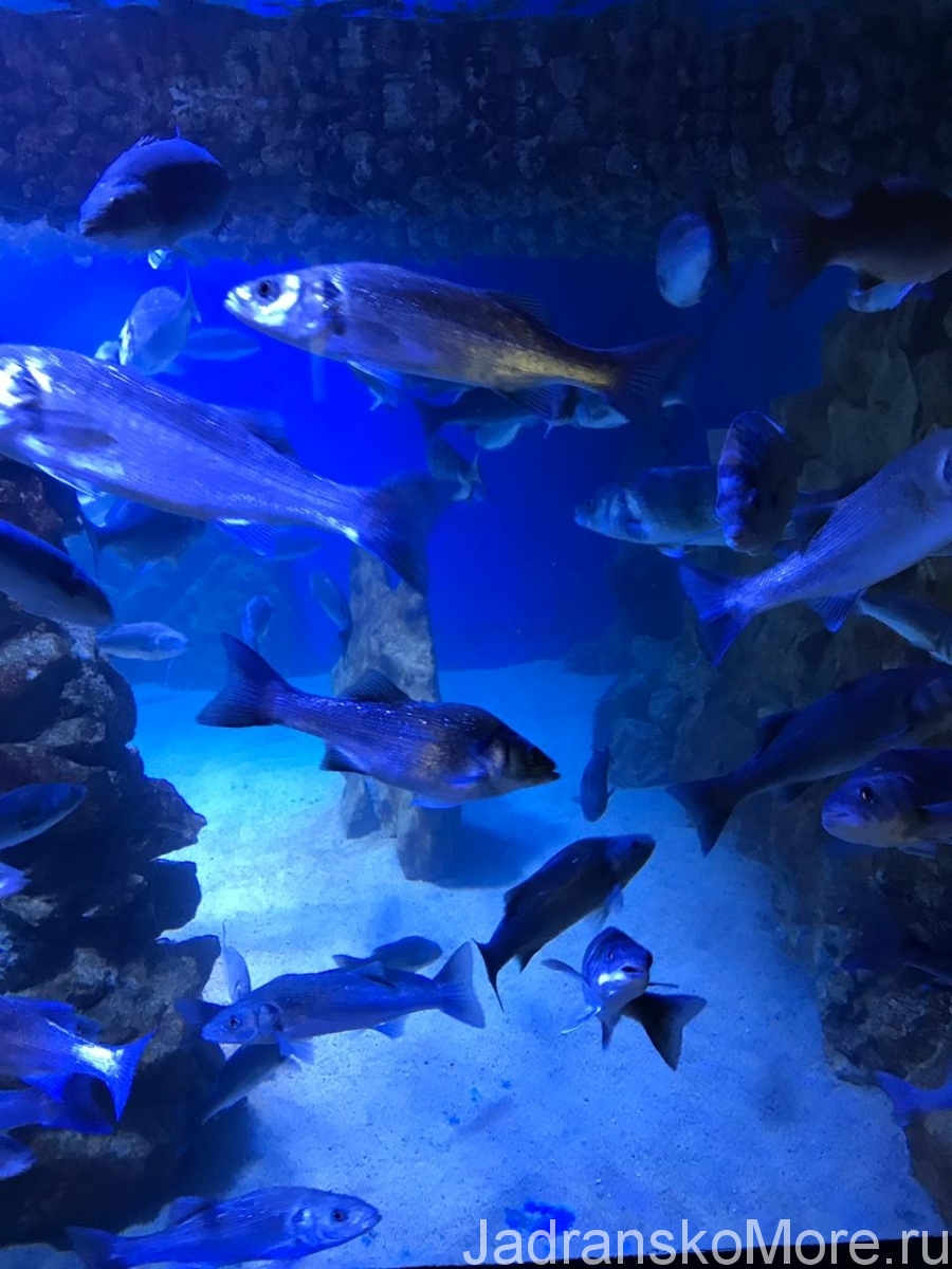 Sea park 02