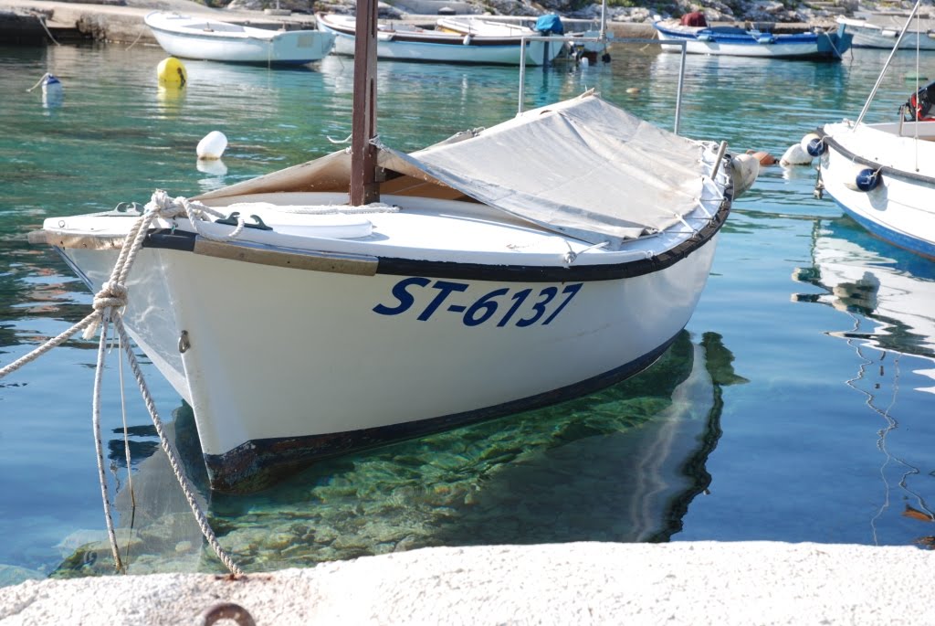 Sevid boat