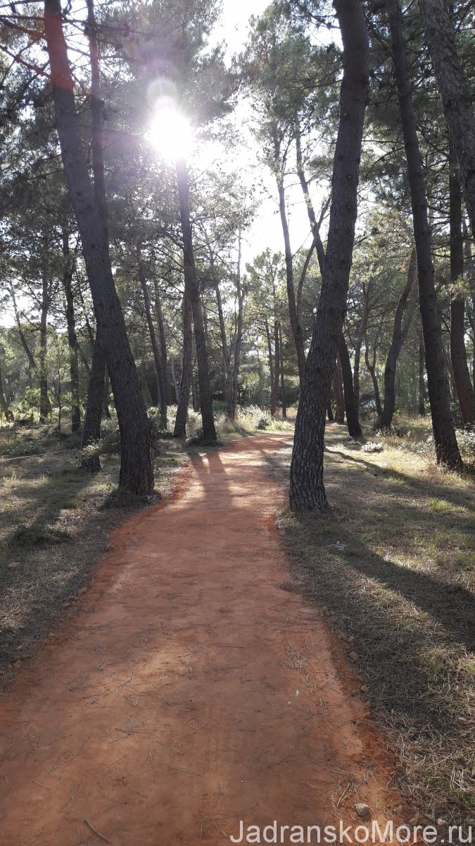 Zaton Holiday Resort shadow path 01