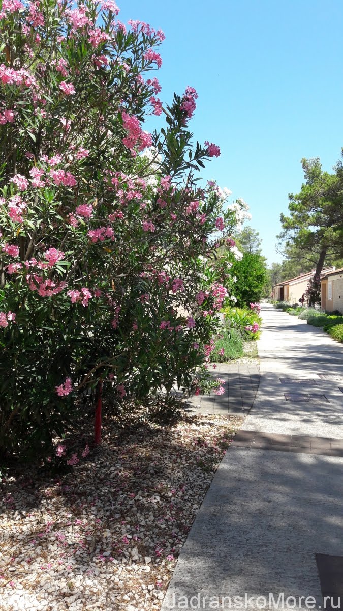 Zaton Holiday Resort shadow path 02