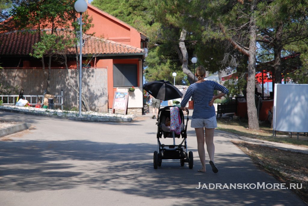 Petrcane_park_Pinija