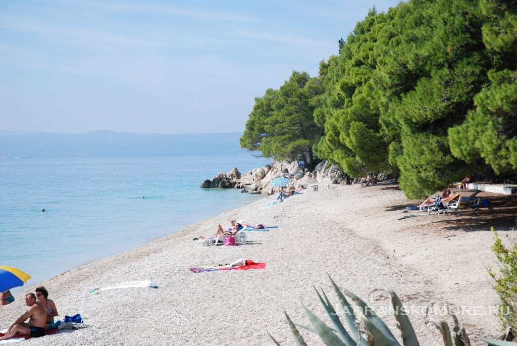 Пляж у отеля Ядран (Jadran)