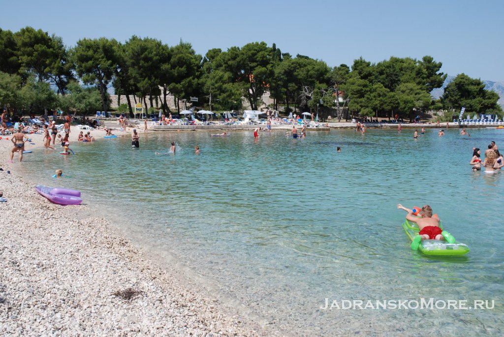 beach kaktus 1