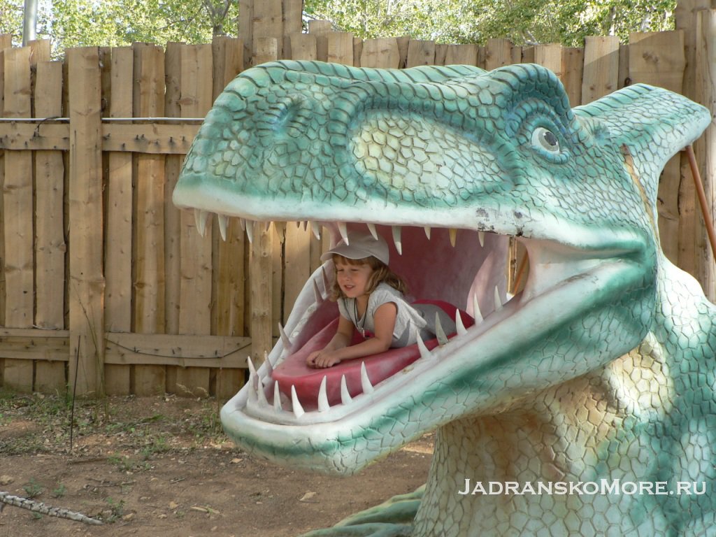 dino8
