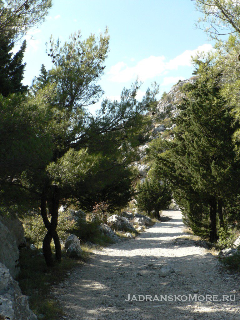 panorama-2