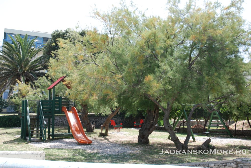 playground kaktus