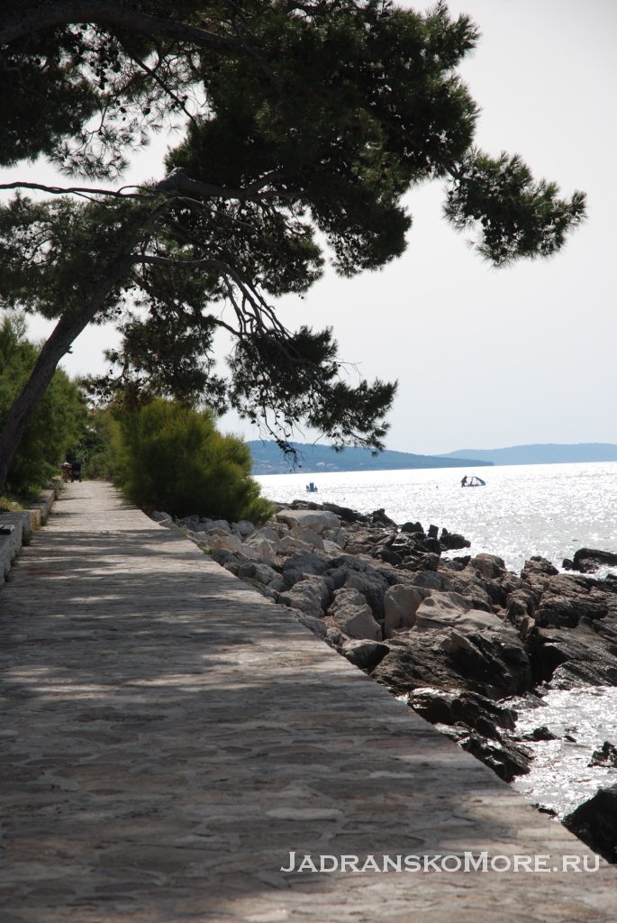 walkroad