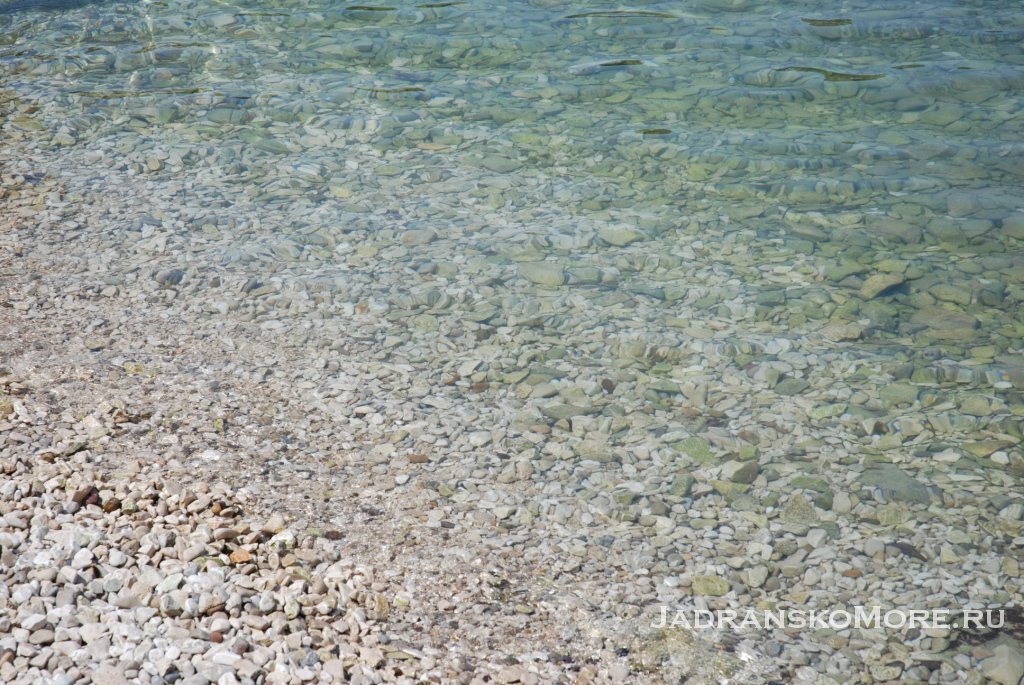 water