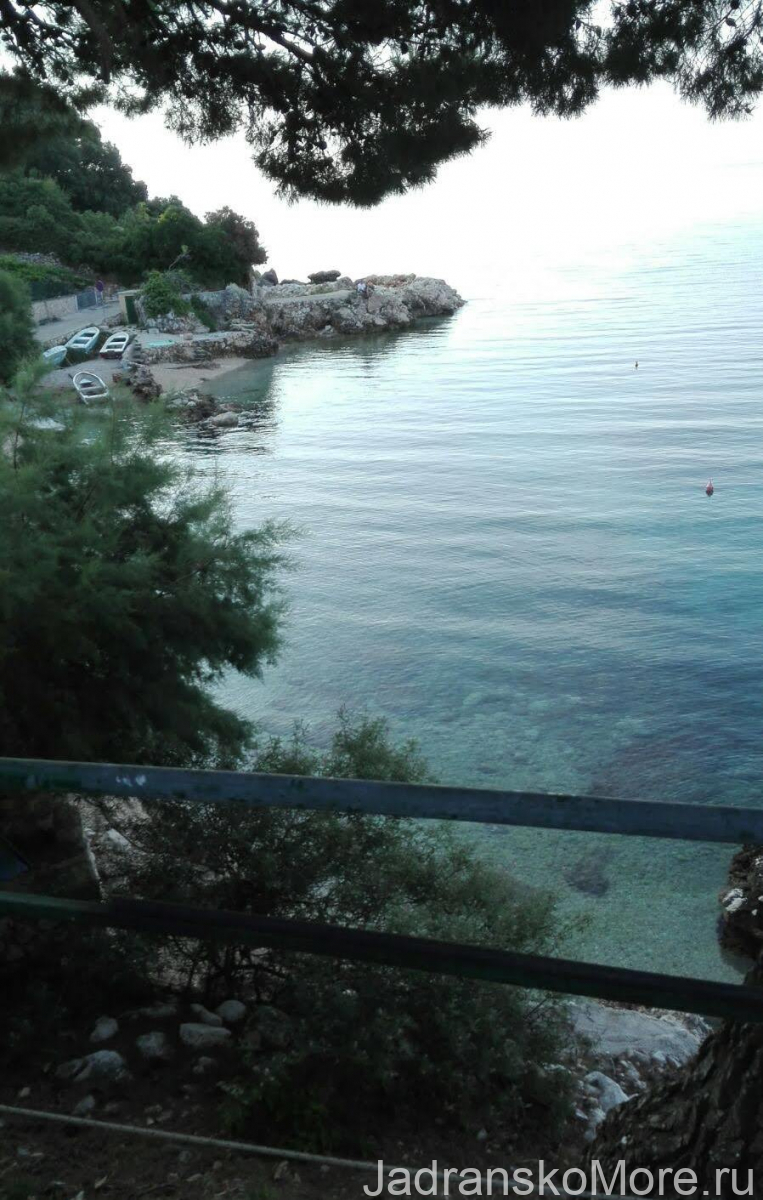 Вид на море из апартаментов